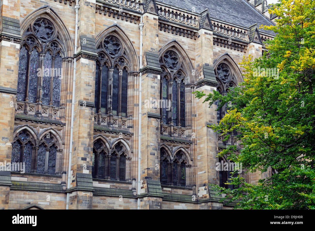 Windows in the East Quadrangle sur le campus de l'Université de Glasgow, Glasgow, Écosse, Royaume-Uni Banque D'Images
