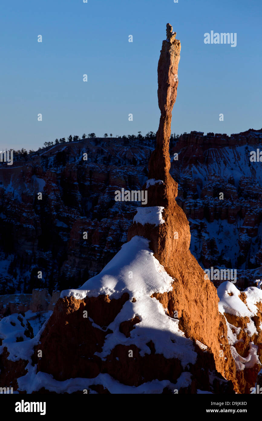 Formations de roche et de neige Hoodoo au coucher du soleil, l'Amphithéâtre de Bryce, Bryce Canyon National Park, Utah, United States of America Banque D'Images
