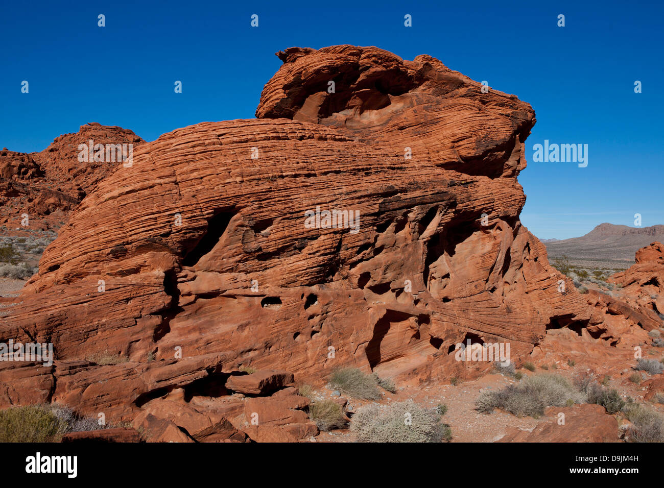 Les ruches, des formations de roche de grès rouge, la Vallée de Feu State Park, Nevada, United States of America Banque D'Images