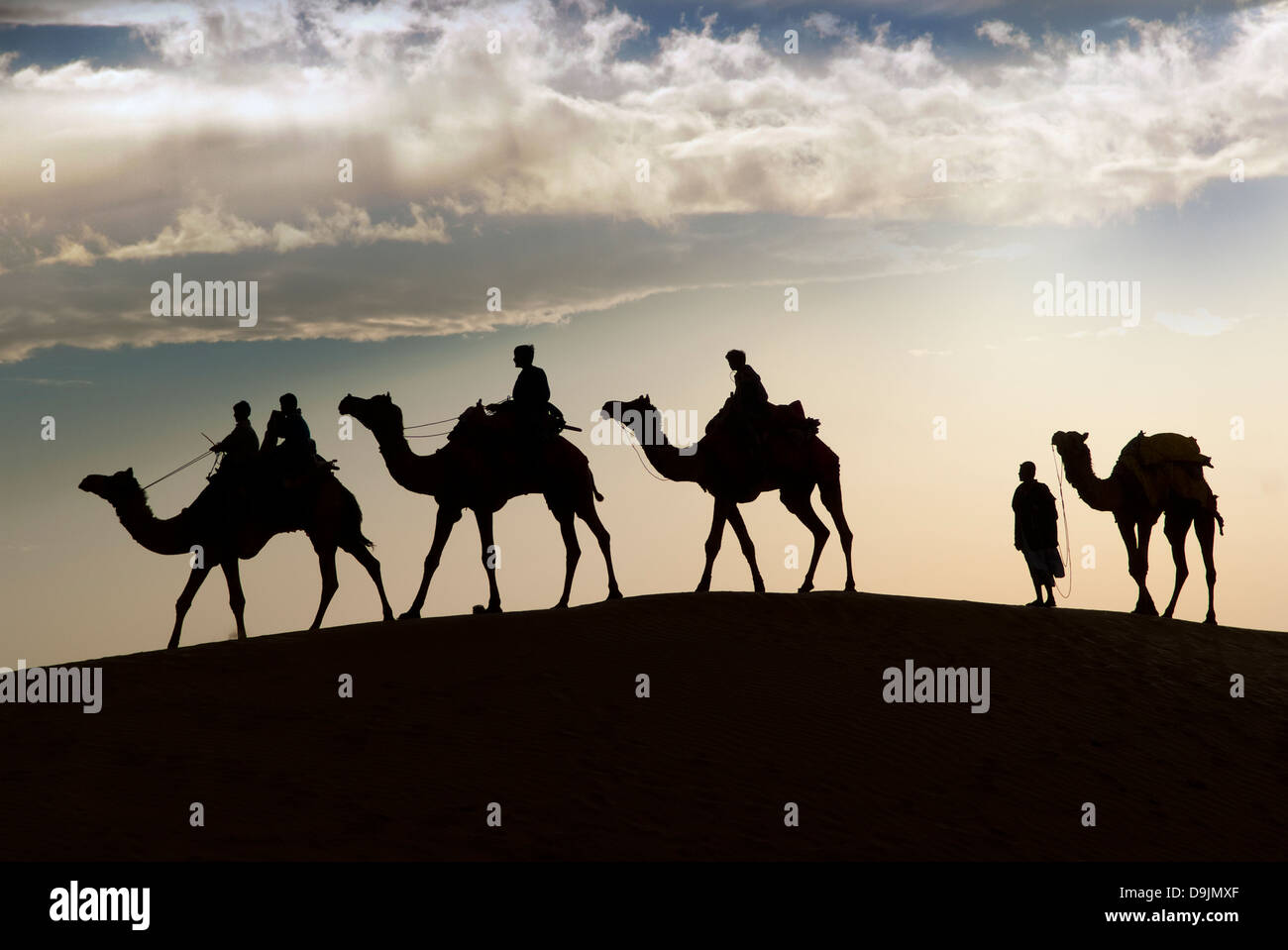 En chameau dans le désert de Thar à Jaisalmer, Inde Banque D'Images
