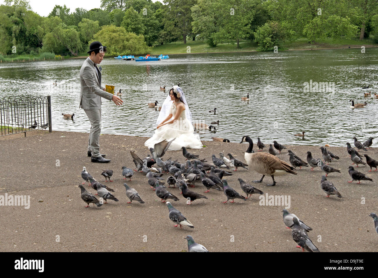 Les jeunes mariés par le lac de plaisance dans Regent's Park, Londres. Banque D'Images