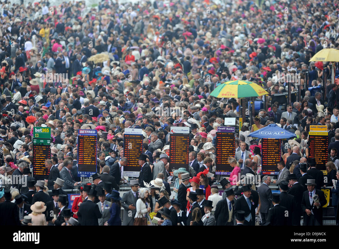 Le Royal Ascot, Berkshire, Royaume-Uni. 20 juin 2013. Paniers-pelouses comme foule massive attendre que l'action doit commencer le jour chers. Crédit : John Beasley/Alamy Live News Banque D'Images