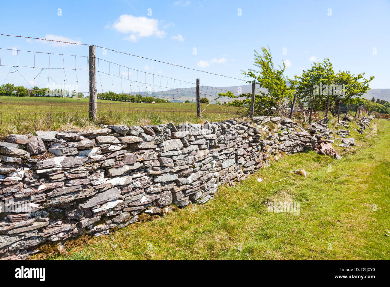 Mur de pierres sèches recouvertes de clôture avec barbelés sur Mynydd Illtud, Commune du Parc National de Brecon Beacons, Nouvelle-Galles du Sud Banque D'Images