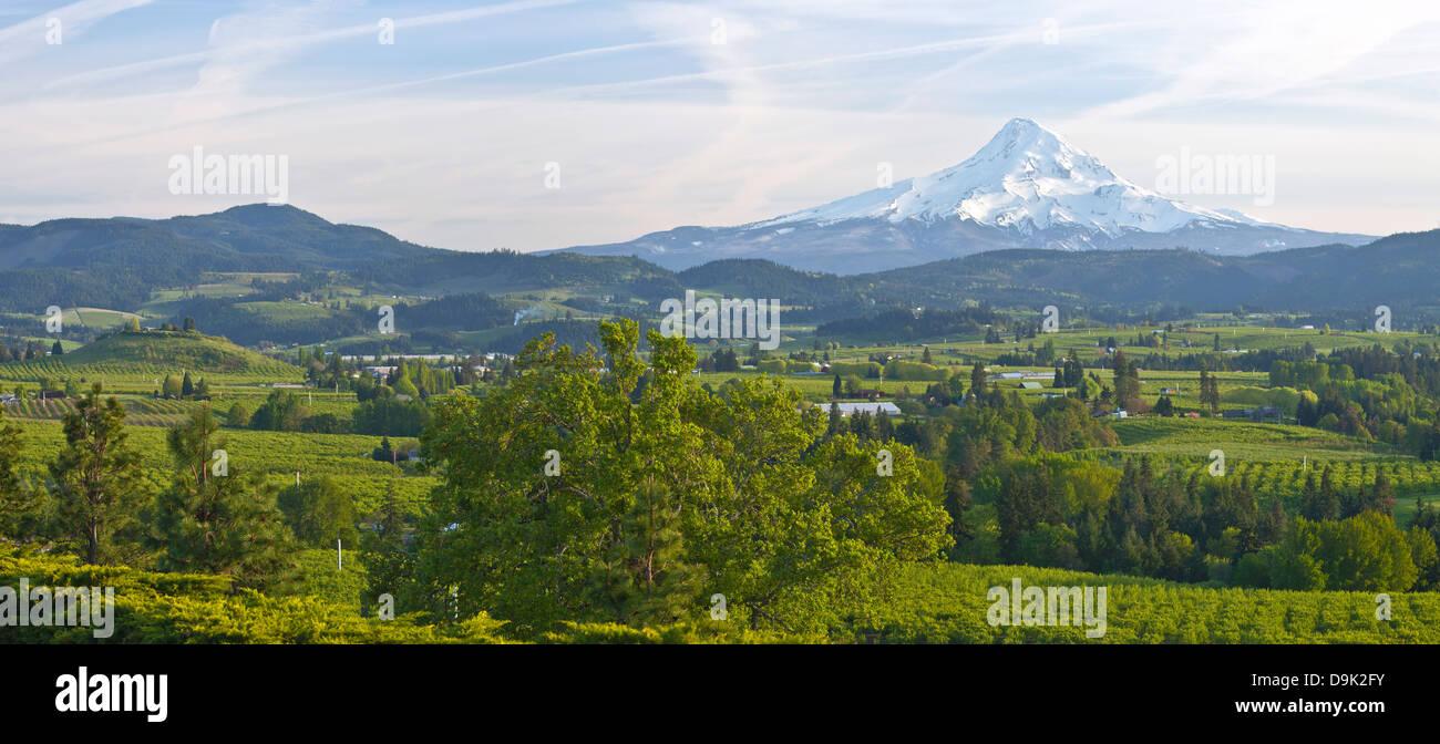 Mt. Le capot et son panorama de la vallée de la rivière au printemps de l'Oregon. Banque D'Images