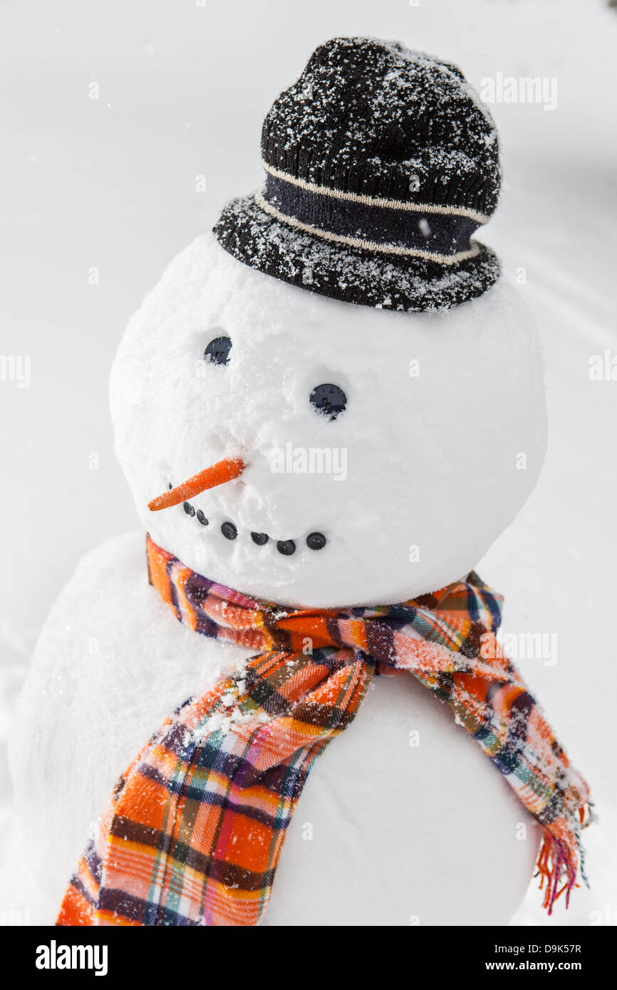Joyeux Bonhomme de neige blanc avec un foulard orange et un chapeau Banque D'Images Joyeux Bonhomme de neige blanc avec un foulard orange et un chapeau Banque D'Images