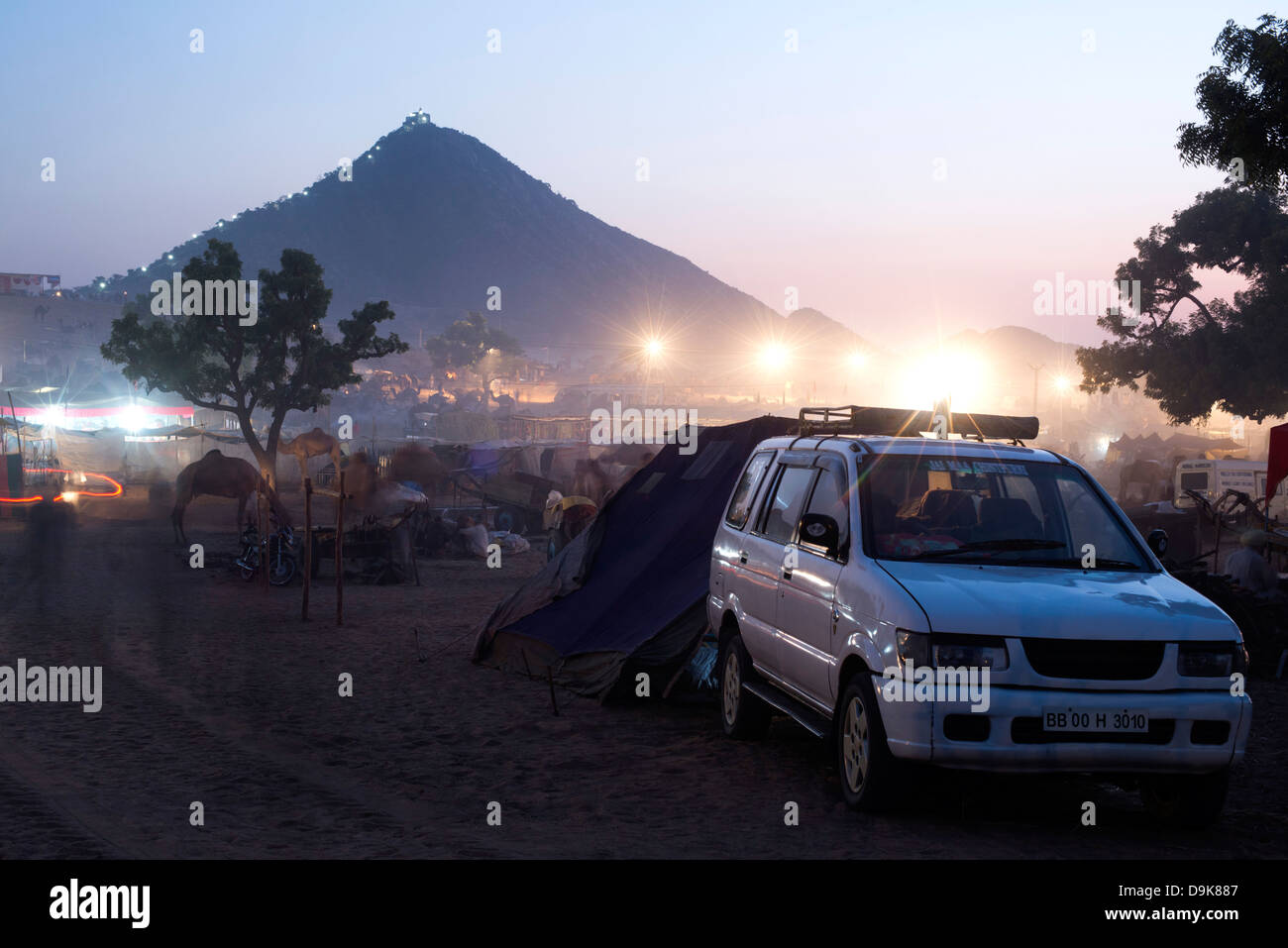 Pushkar Camel juste la nuit, Pushkar, Ajmer, Rajasthan, Inde Banque D'Images