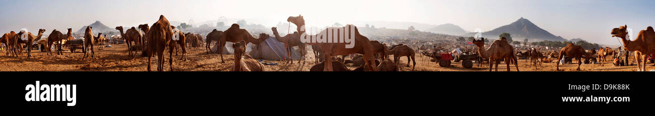 Vue à 360 degré de Pushkar Camel Fair, Pushkar, Ajmer, Rajasthan, Inde Banque D'Images
