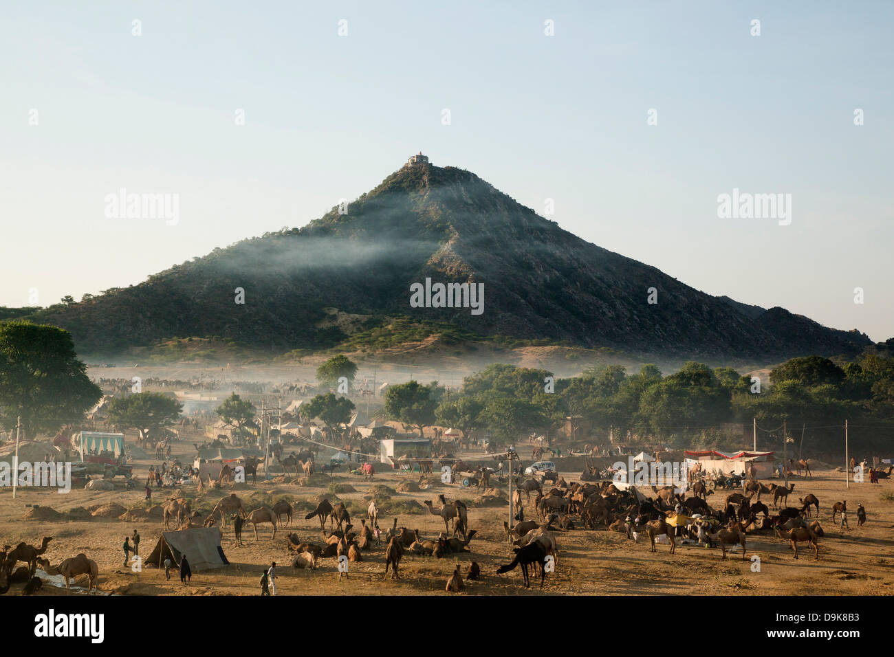 Foire de chameau en face d'une montagne, Pushkar, Ajmer, Rajasthan, Inde Banque D'Images