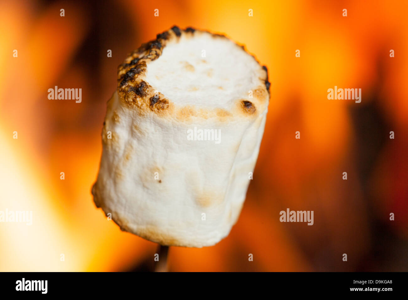 De délicieuses guimauves grillées Blanc Moelleux devant un feu Banque D'Images