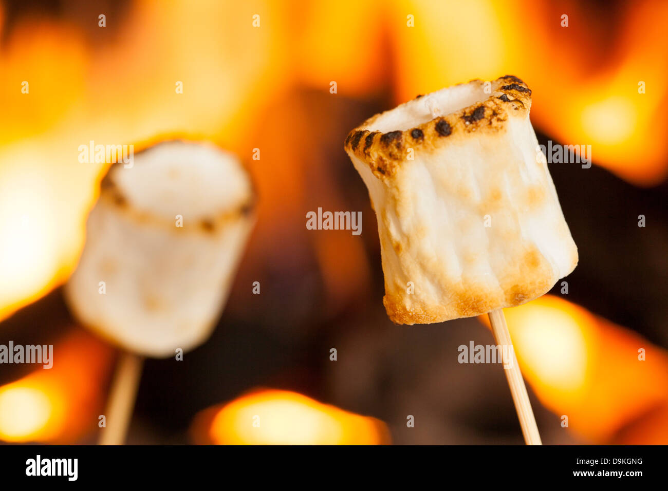 De délicieuses guimauves grillées Blanc Moelleux devant un feu Banque D'Images