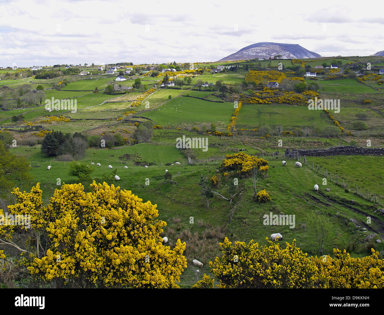 Mont Muckish dans la distance,Renoso les montagnes, Irlande Banque D'Images