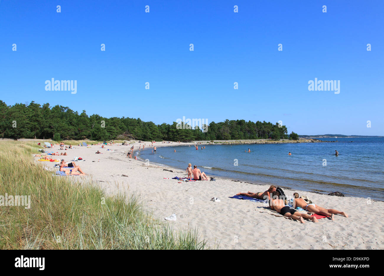 Storsand beach, Nattaroe, île de l'archipel de Stockholm, côte de la mer Baltique, la Suède, Scandinavie Banque D'Images