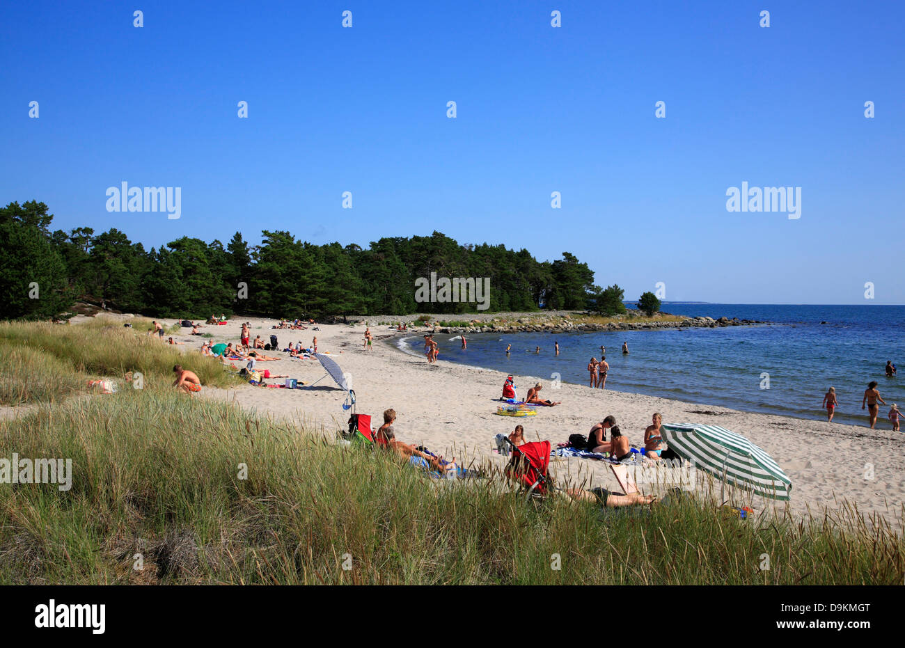 Storsand beach, Nattaroe, île de l'archipel de Stockholm, côte de la mer Baltique, la Suède, Scandinavie Banque D'Images