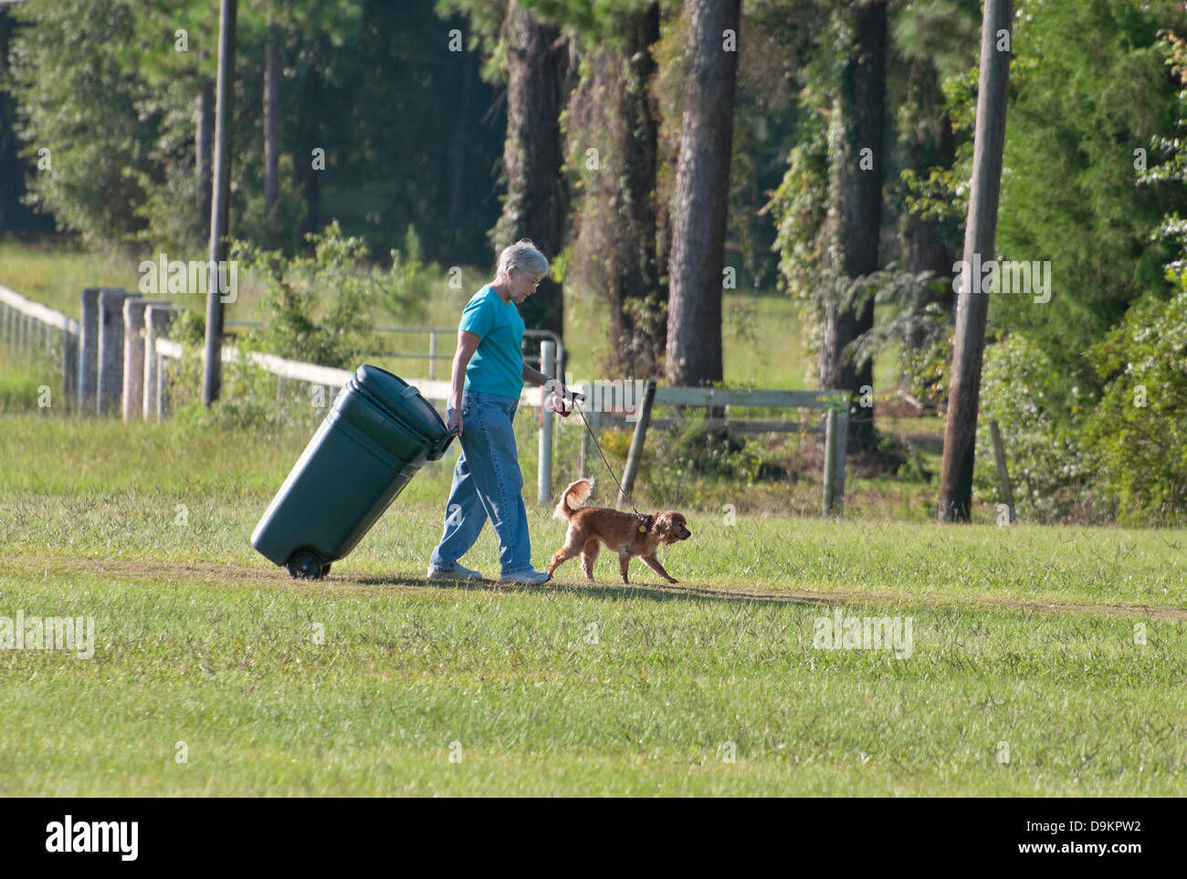 Femme au foyer rural fait double emploi, la promenade du chien, tout en mettant à la poubelle. Banque D'Images