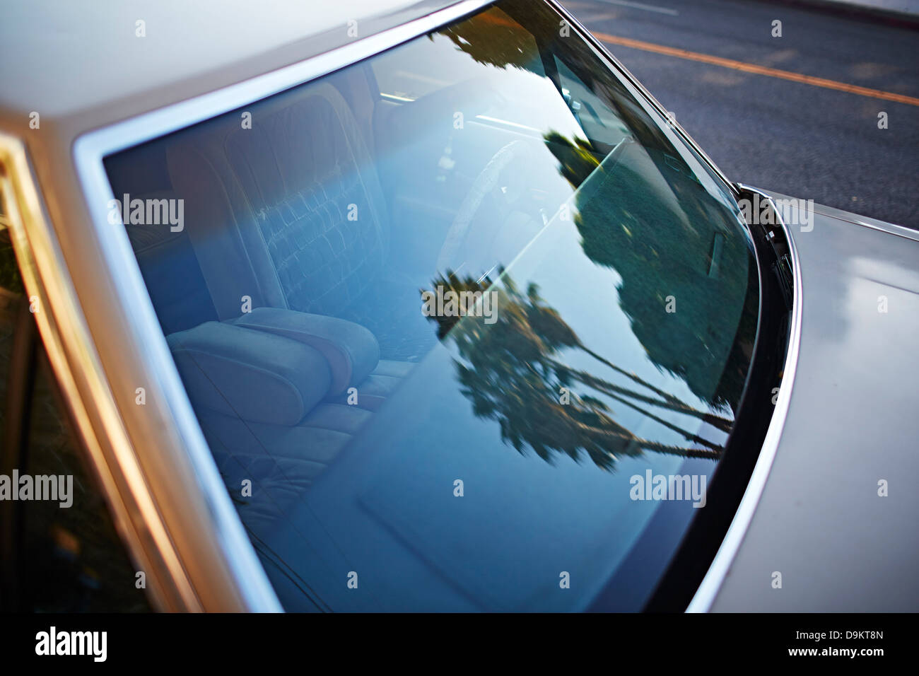 Arbres se reflétant dans la fenêtre de voiture Banque D'Images