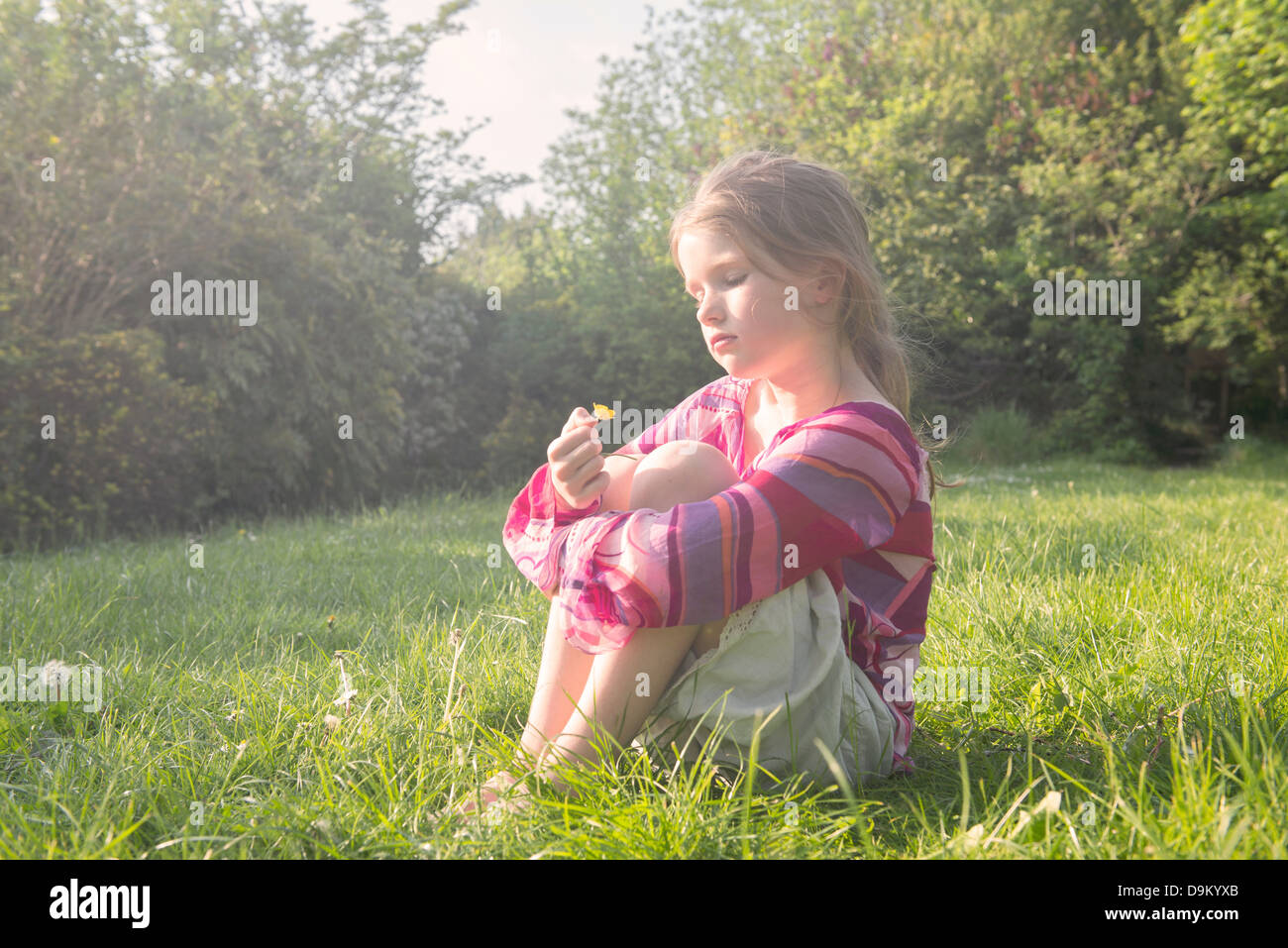 Girl holding buttercup dans la zone pendant l'été Banque D'Images