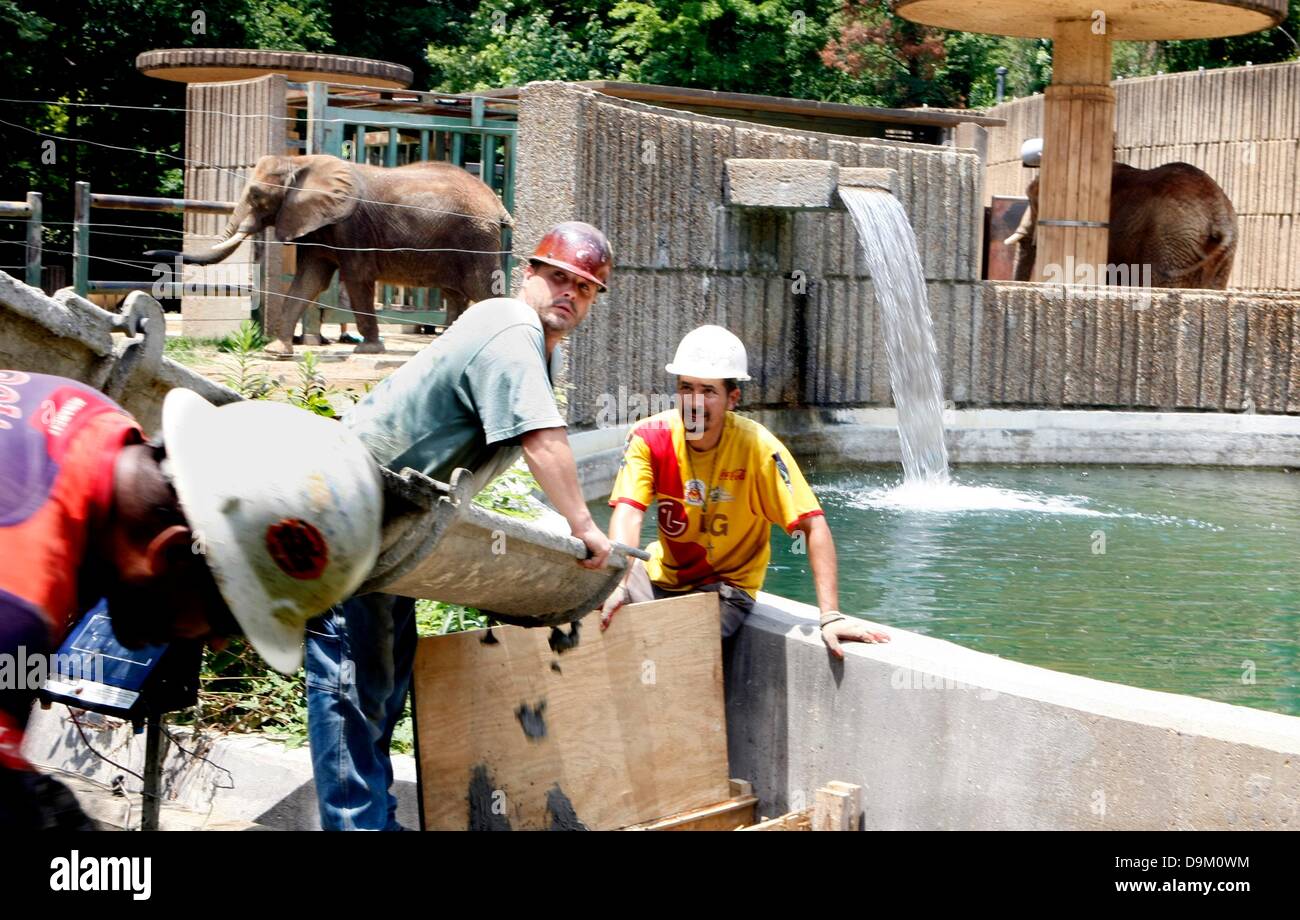 19 juin 2013 - Memphis, Tennessee, États-Unis - 19 juin 2013 - Le Zoo de Memphis est la rénovation de l'exposition de l'éléphant et de remplissage dans les douves. Les travailleurs de la construction à partir de Mayer Construction pour le béton dans le cadre de la paille le mercredi. (Crédit Image : © Karen Pulfer Focht/l'appel Commercial/ZUMAPRESS.com) Banque D'Images