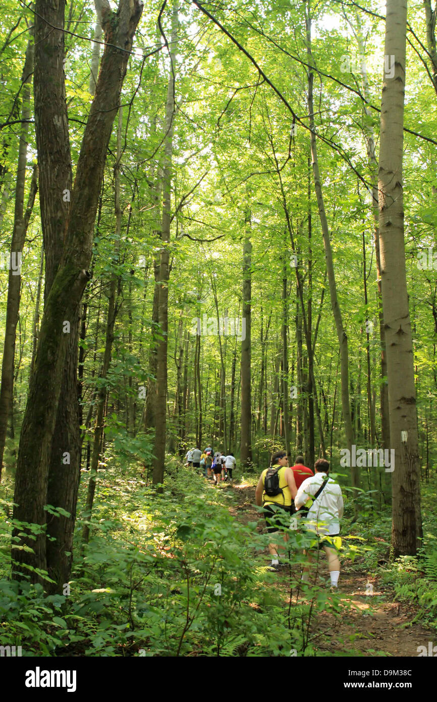 Groupe de personnes la randonnée sur sentier des Appalaches dans la région de New York, PA, USA, bois, arbres, forêt, chemin vert, feuilles Banque D'Images