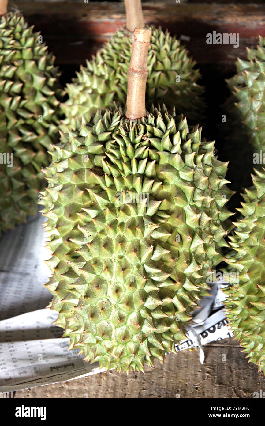 Durian de Thaïlande est fruit avec une forte odeur. Banque D'Images