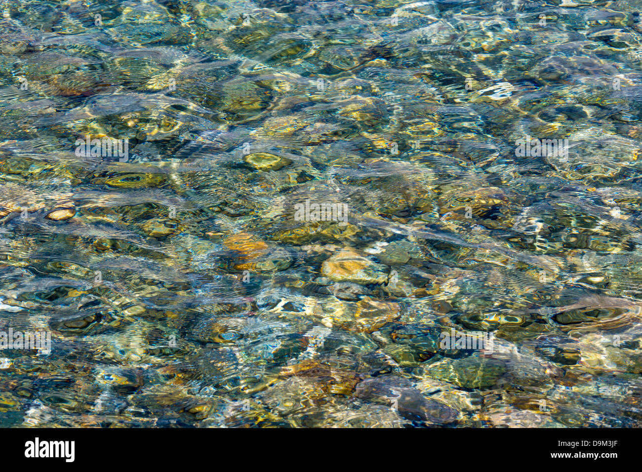 Fond rocheux si l'eau claire sur l'île des Caraïbes de St John dans les îles Vierges américaines Banque D'Images