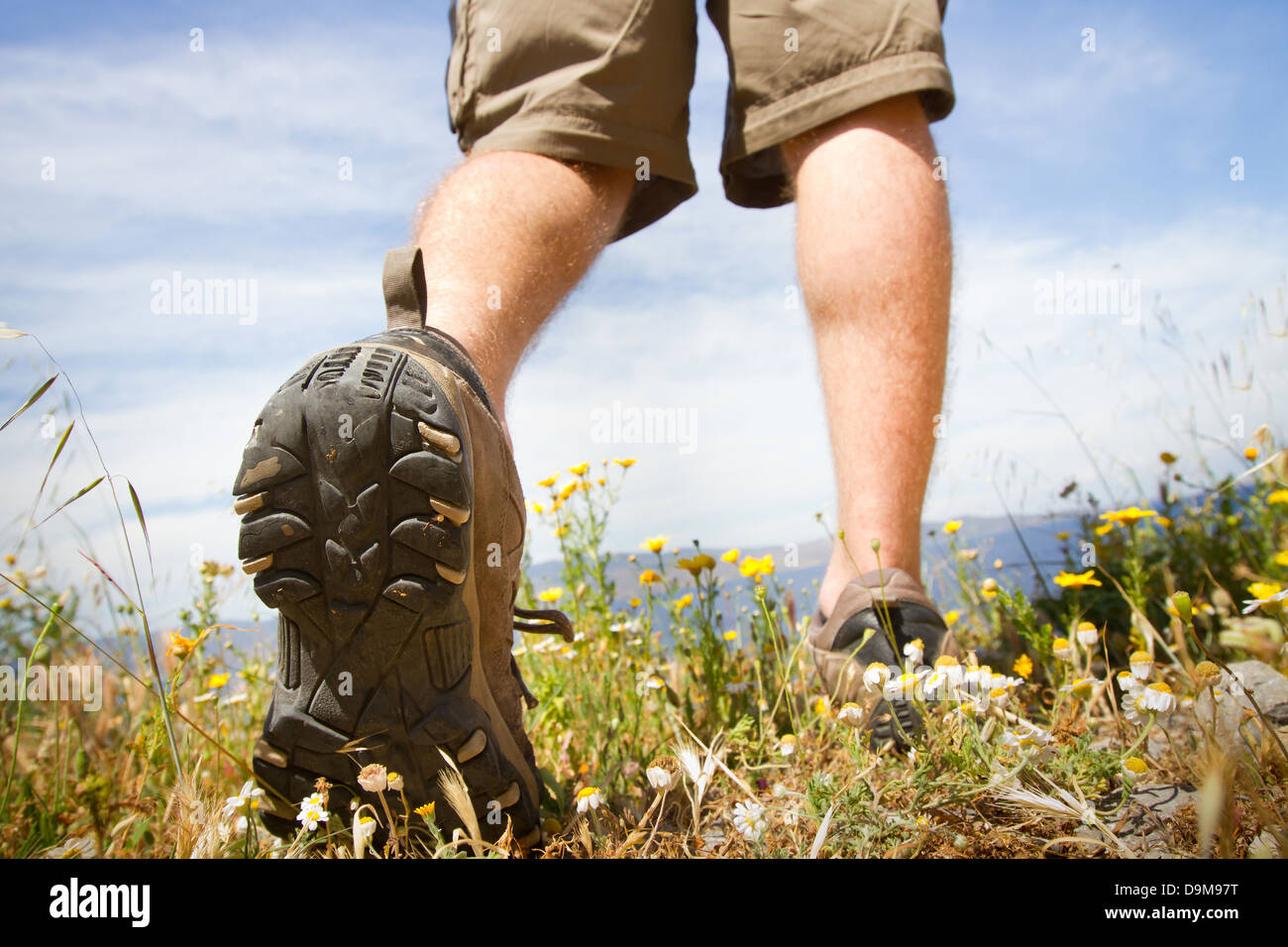 Chaussures de trekking, backpacker marche à travers pré vert Banque D'Images