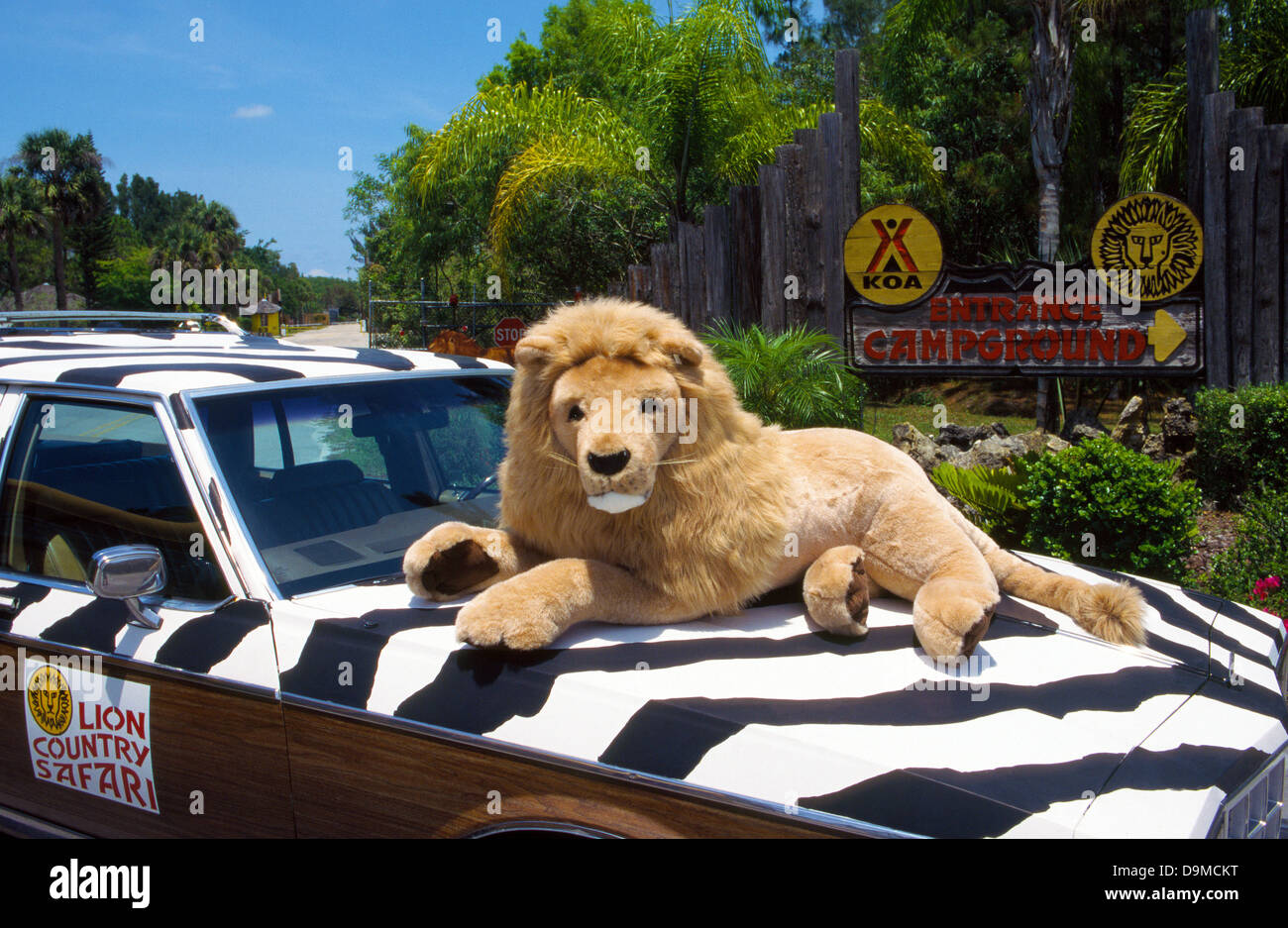 Un jouet lion accueille les visiteurs à Lion Country Safari, un drive-s parc zoologique avec plus de 900 animaux sauvages près de West Palm Beach, Floride, USA. Banque D'Images