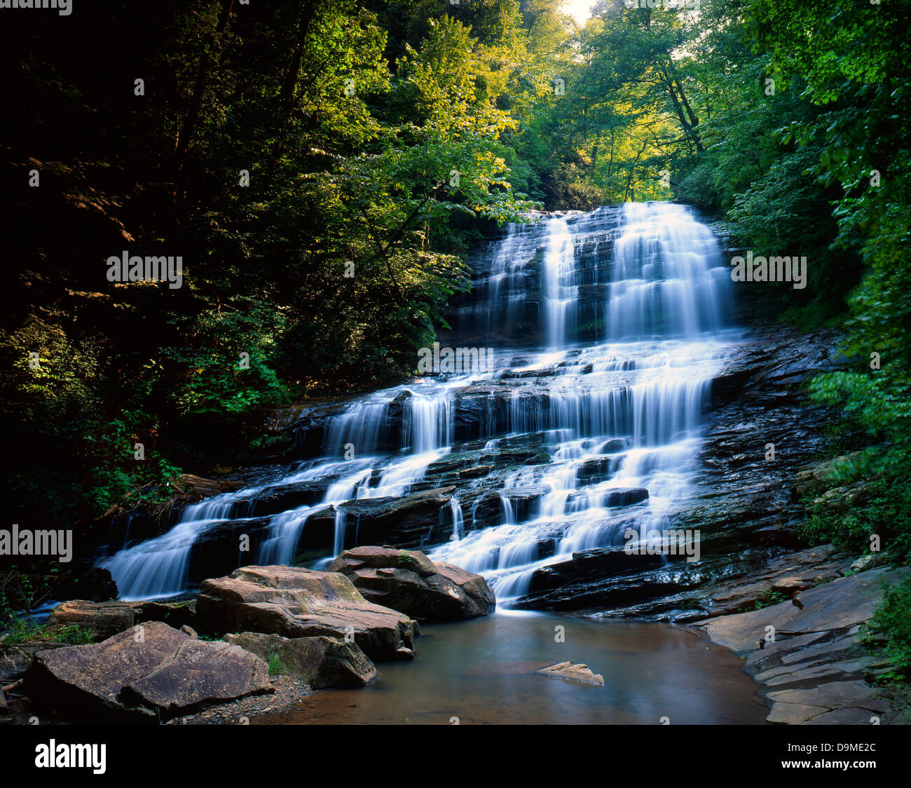 Pearson's Falls dans un sanctuaire naturel près de Saluda, North Carolina Banque D'Images