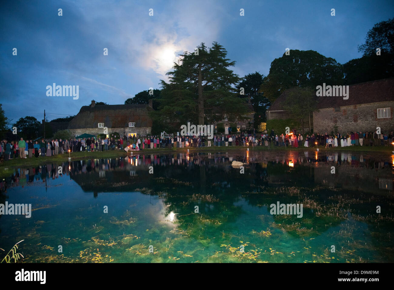 La pouliche Loo à Ashmore, près de Shaftesbury Banque D'Images