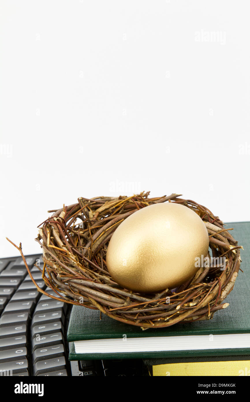 Or brillant nest egg se trouve sur le clavier et de livres. Métaphore capte sur tige, Science, technologie, ingénierie, mathématiques et l'apprentissage. Banque D'Images