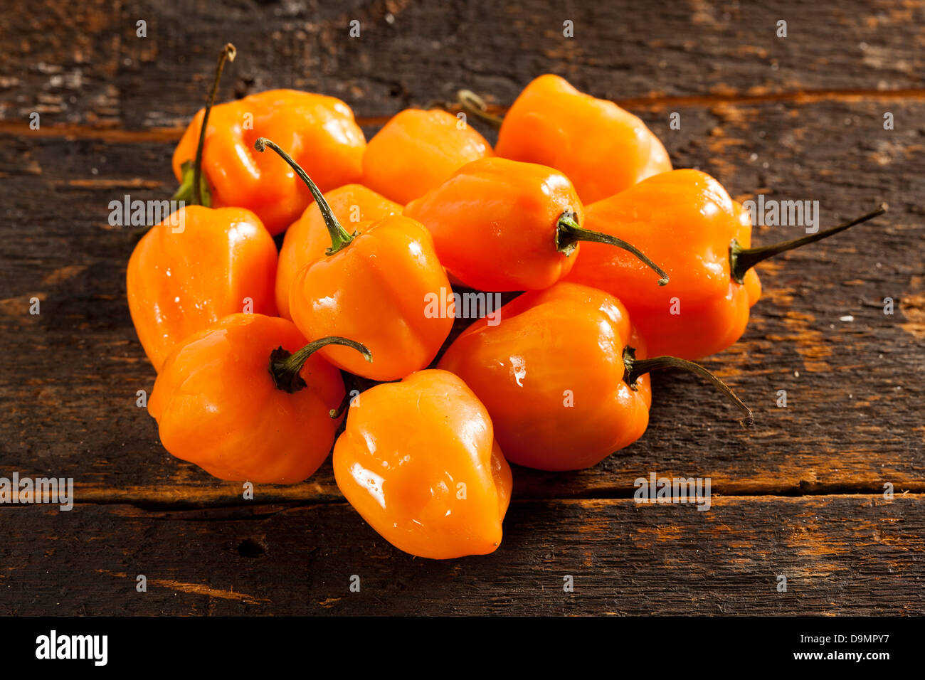 Chaude et épicée bio Poivrons Habanero contre un arrière-plan Banque D'Images