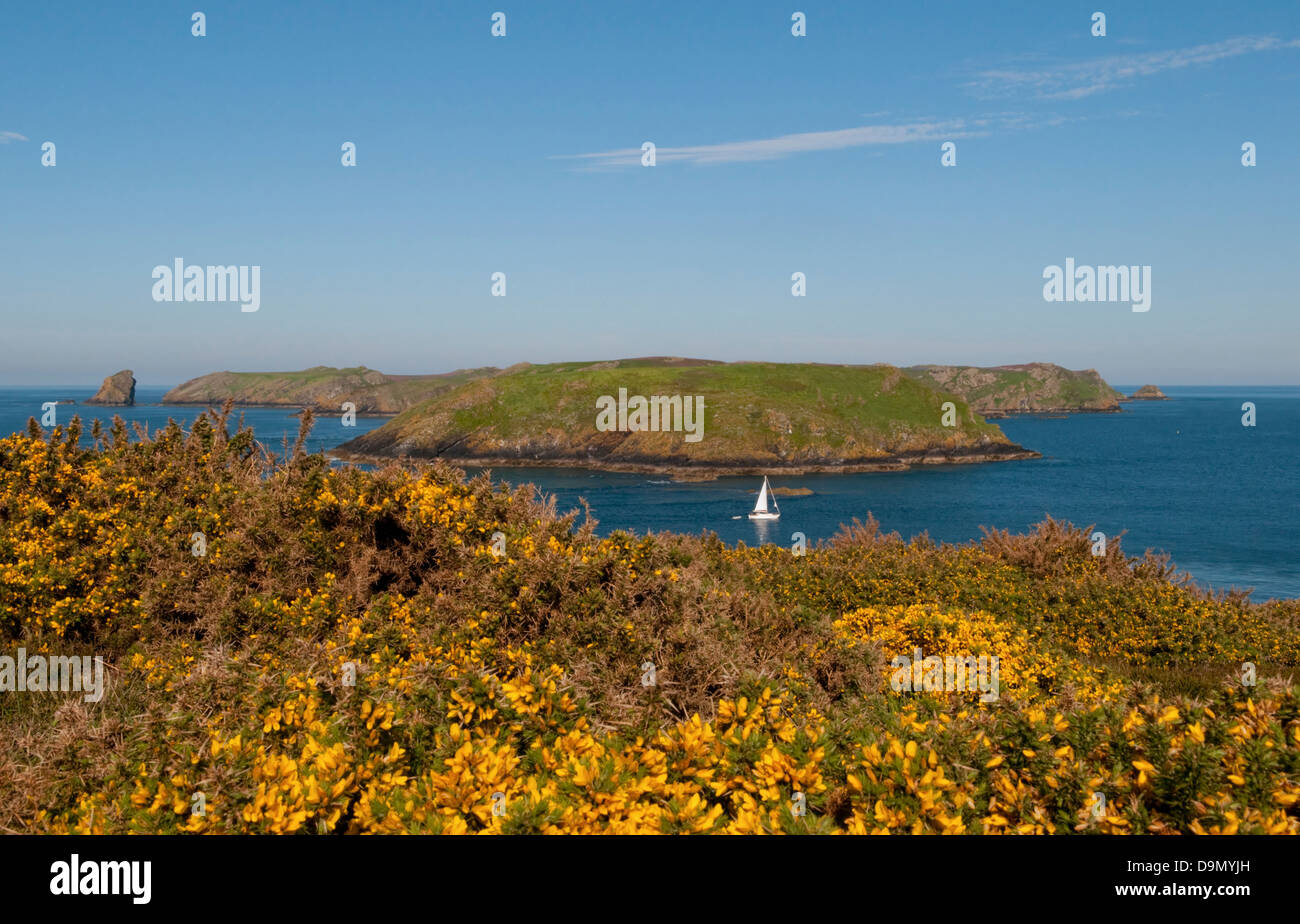 Voir l'île de Skomer, Pembrokeshire, Pays de Galles, Royaume-Uni de Deer Park, à travers Jack son comme un bateau à voile voiles par Banque D'Images