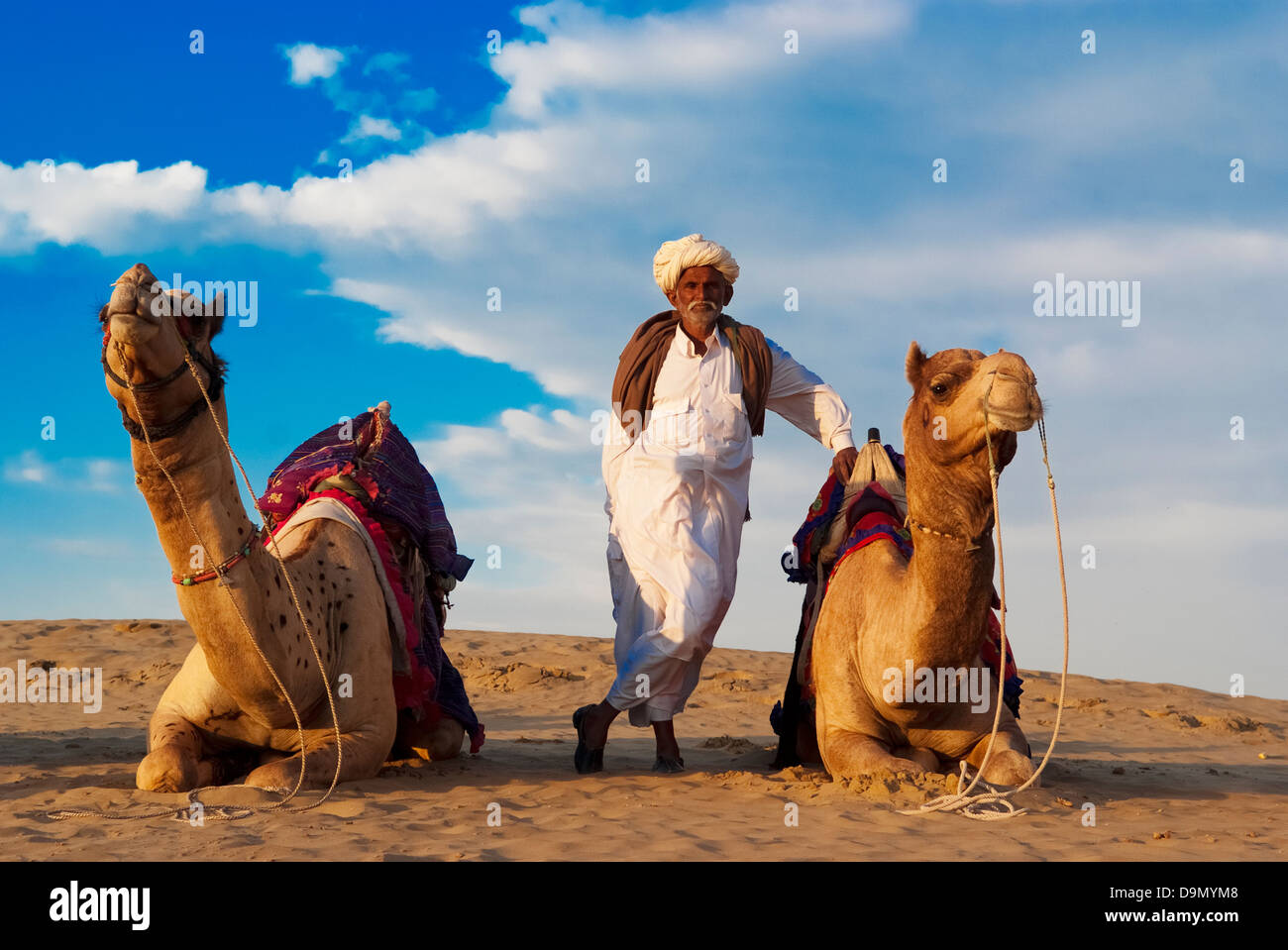 Chamelier et son troupeau à la Dune de sable de Sam à Jaisalmer, Inde. L'équitation de chameau pour les touristes est une autre source de revenu des villageois Banque D'Images