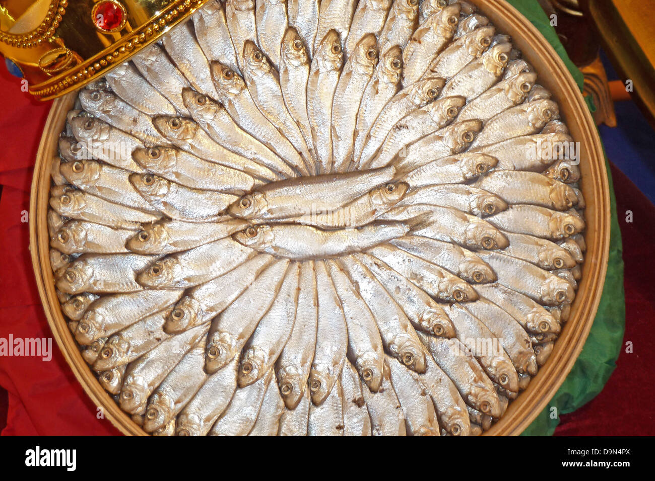 Saraghina, Sprat Sprattus sprattus, Banque D'Images