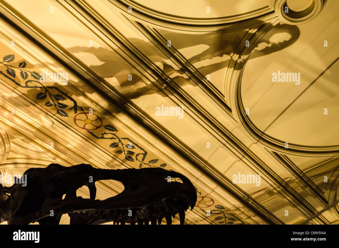 Squelette de dinosaure jette une ombre sur le plafond de la Natural History Museum. Londres, Angleterre. Banque D'Images