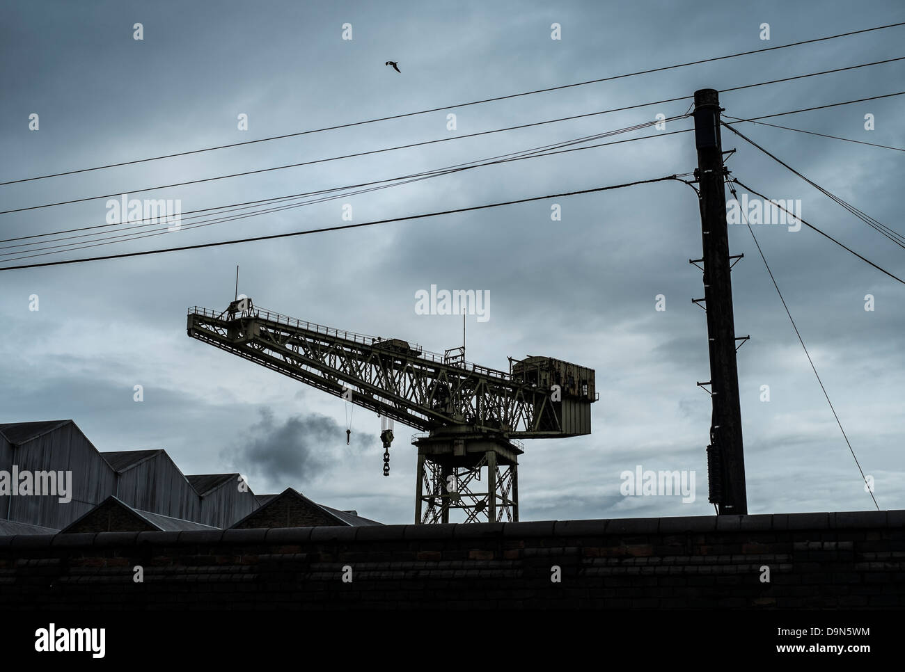 L'une des grues ship yard géant sur la Clyde, Glasgow. Banque D'Images