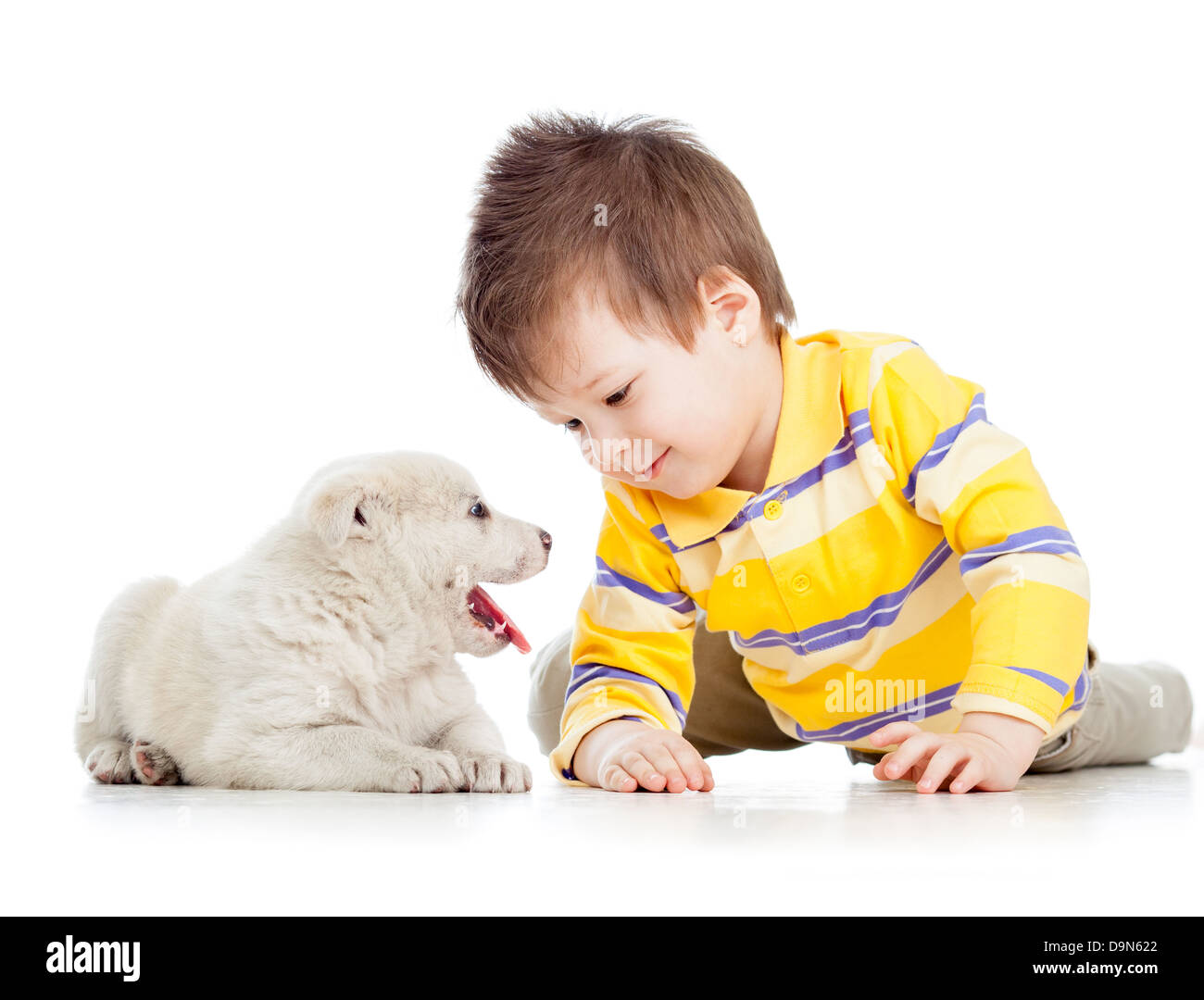 Enfant Garçon jouant avec puppy dog Banque D'Images