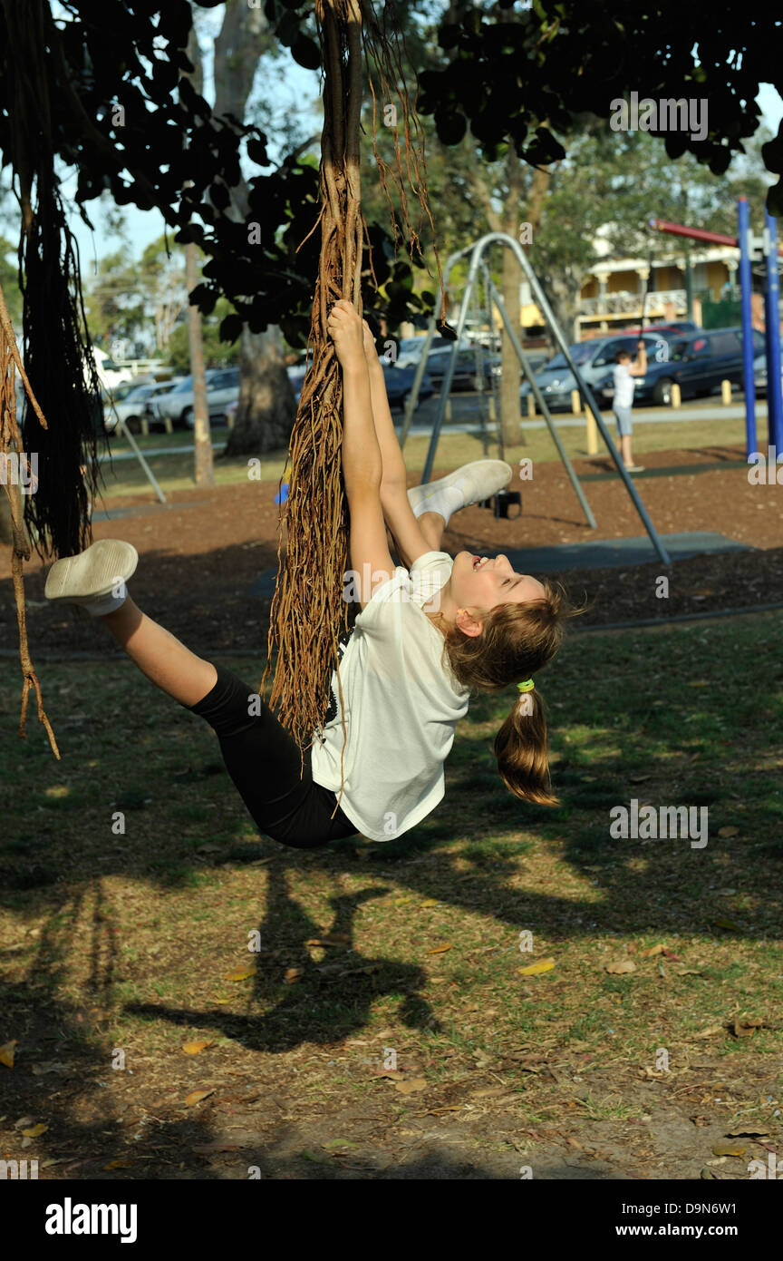 La tenture des racines aériennes d'un Moreton Bay Fig (Ficus macrophylla). Moreton Bay, Queensland, Australie Banque D'Images