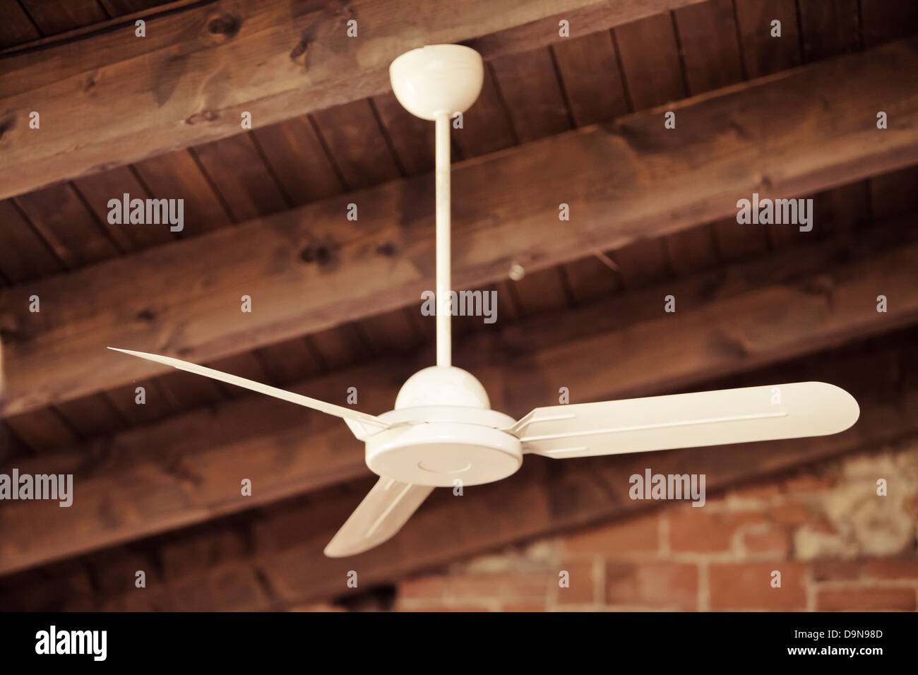 Ventilateur de plafond Banque D'Images