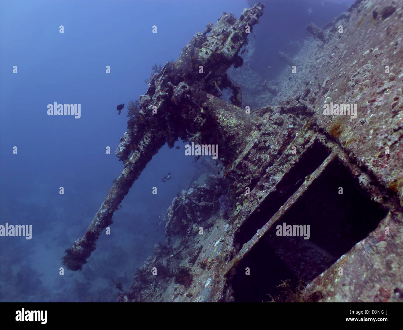 40MM mitrailleuse anti-aérienne de la SS Thistlegorm Banque D'Images