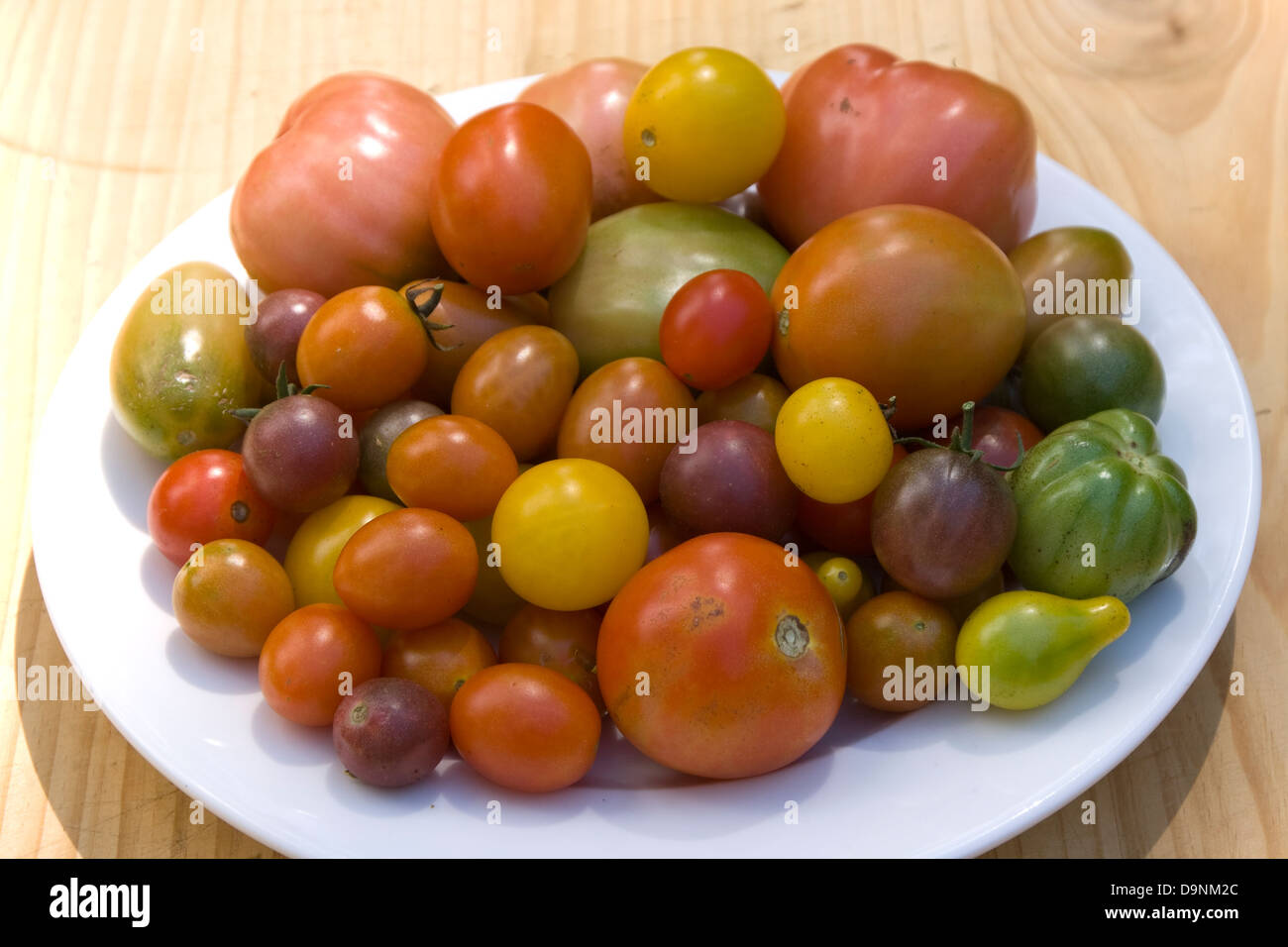 Une plaque mixte de variétés de tomates fraîchement récolté Banque D'Images