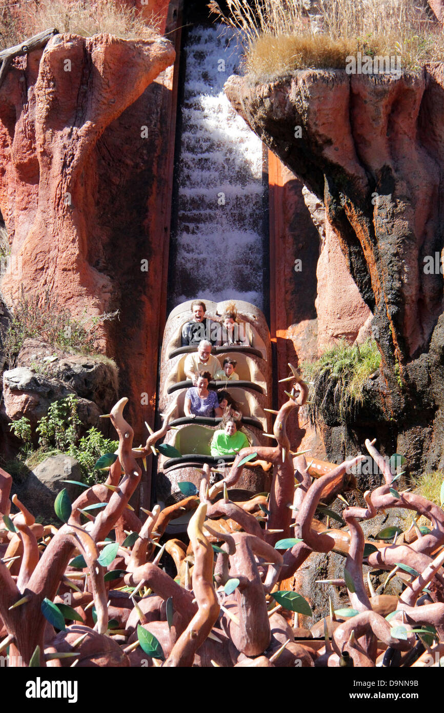 L'attraction Splash Mountain à Frontierland du Magic Kingdom. Banque D'Images