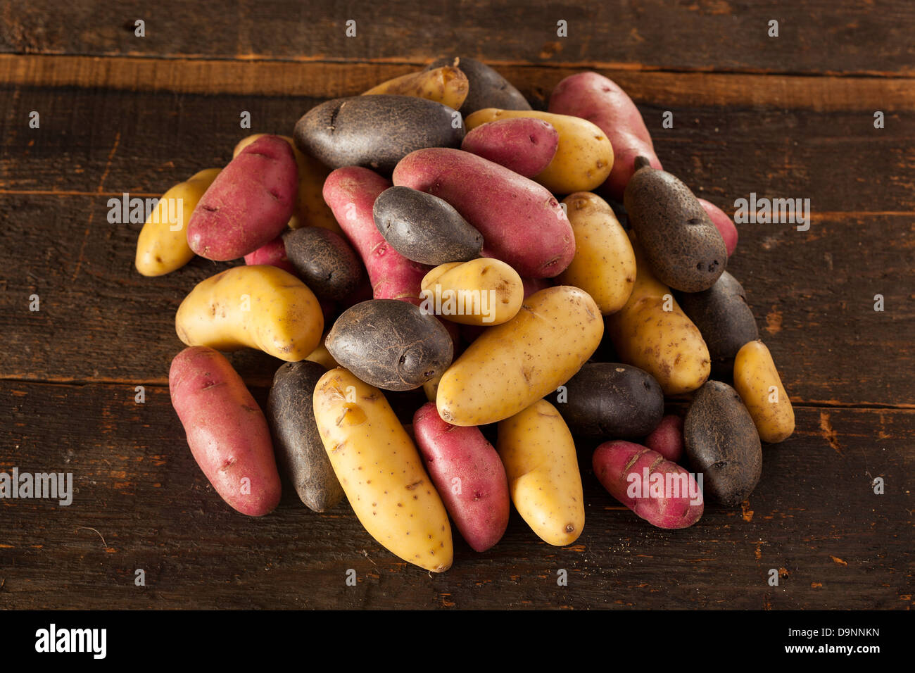 Pommes de terre Fingerling biologiques crus medley contre un arrière-plan Banque D'Images