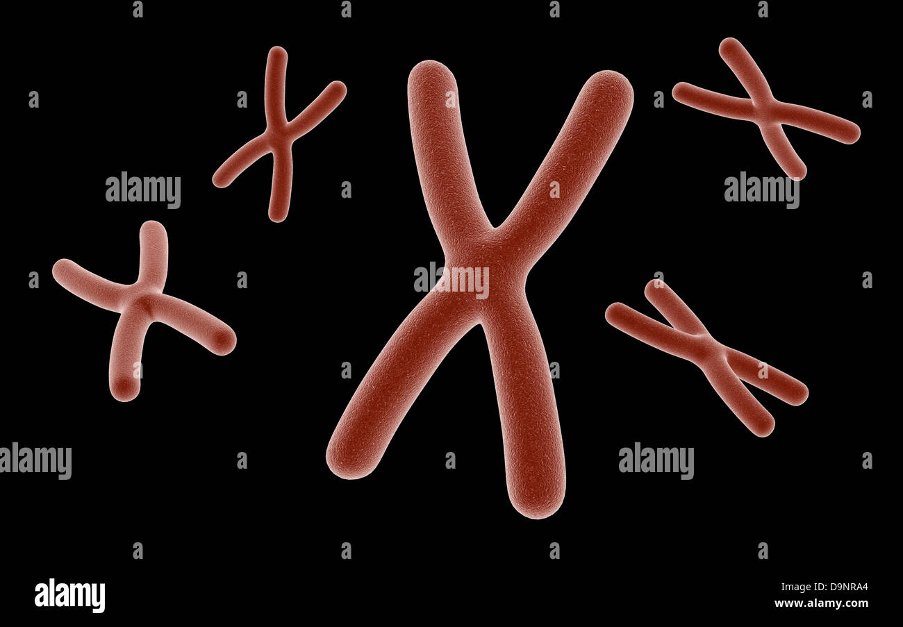 Image conceptuelle du chromosome. Banque D'Images