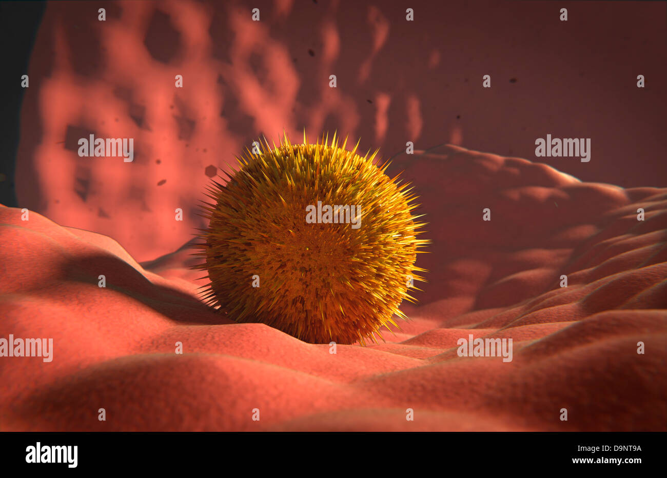 L'atterrissage sur le virus de la membrane cellulaire. Banque D'Images L'atterrissage sur le virus de la membrane cellulaire. Banque D'Images