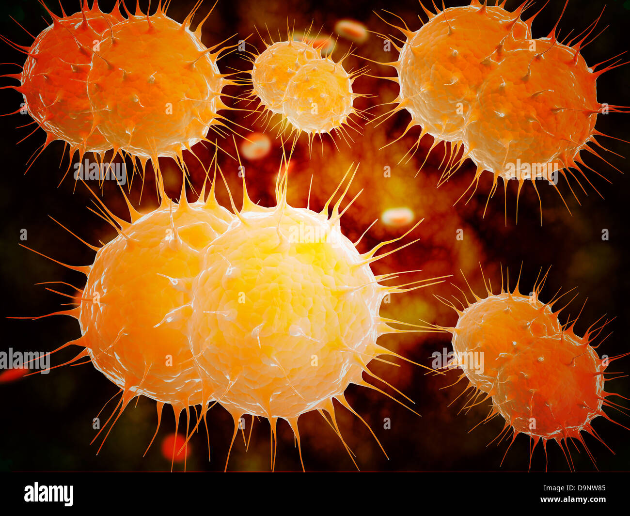 Vue microscopique de Neisseria gonorrhoeae. Banque D'Images Vue microscopique de Neisseria gonorrhoeae. Banque D'Images