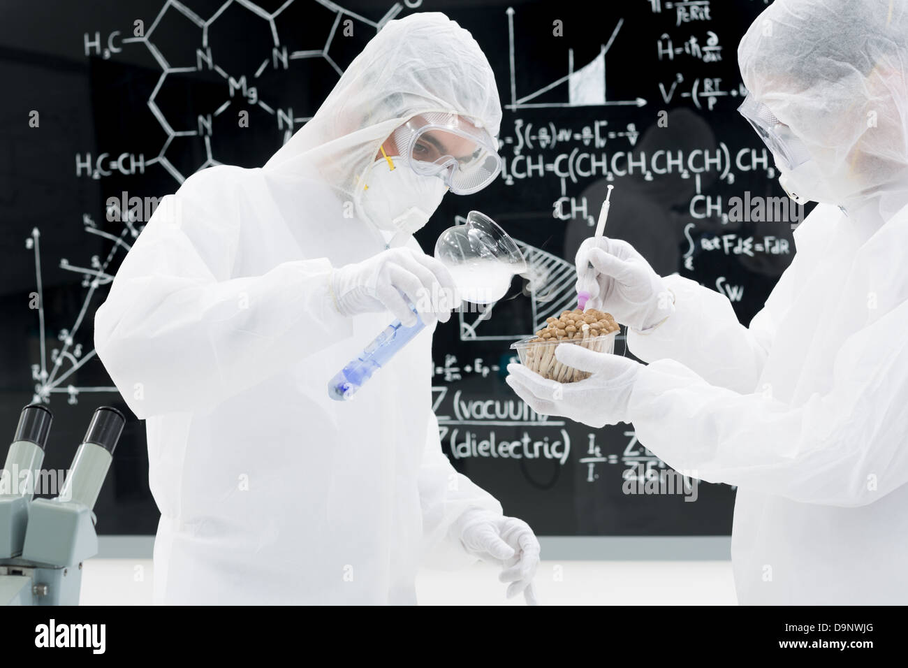 Vue latérale de deux personnes dans un des tests de laboratoire et l'application de techniques génétiques sur les champignons avec un tableau noir sur l'arrière-plan Banque D'Images