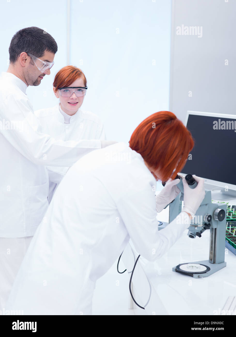 Portrait d'un homme de la supervision scientifique de deux femmes dans un laboratoire de chimie autour d'outils de laboratoire analyse des procédures chimiques Banque D'Images