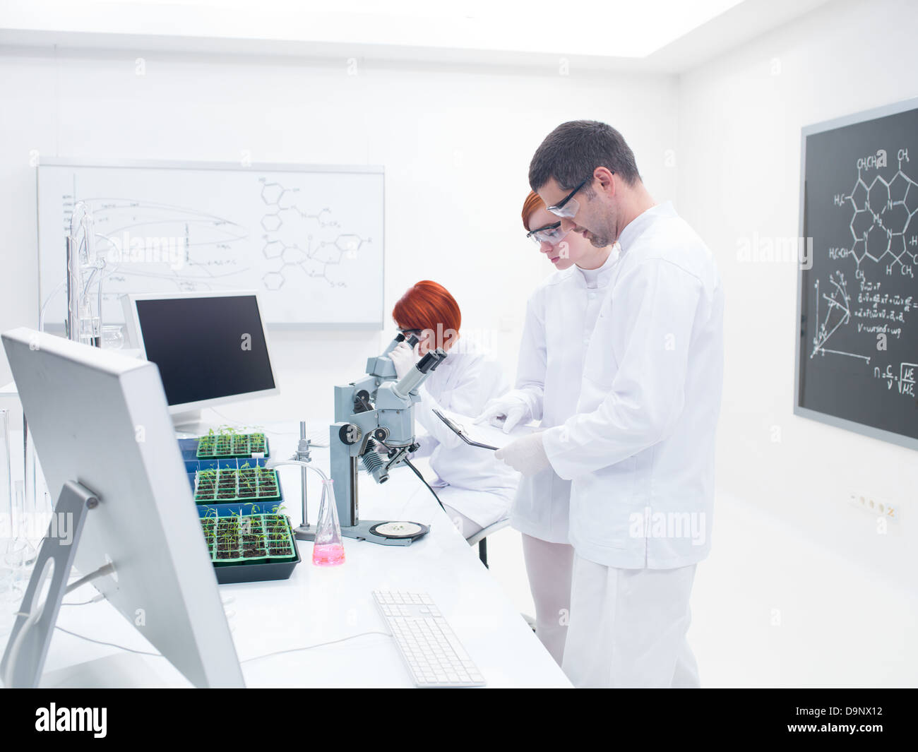 Vue latérale d'un chercheur l'enseignement et la supervision des deux femmes dans un laboratoire de chimie autour d'une table avec des semis et l'appareil de laboratoire Banque D'Images