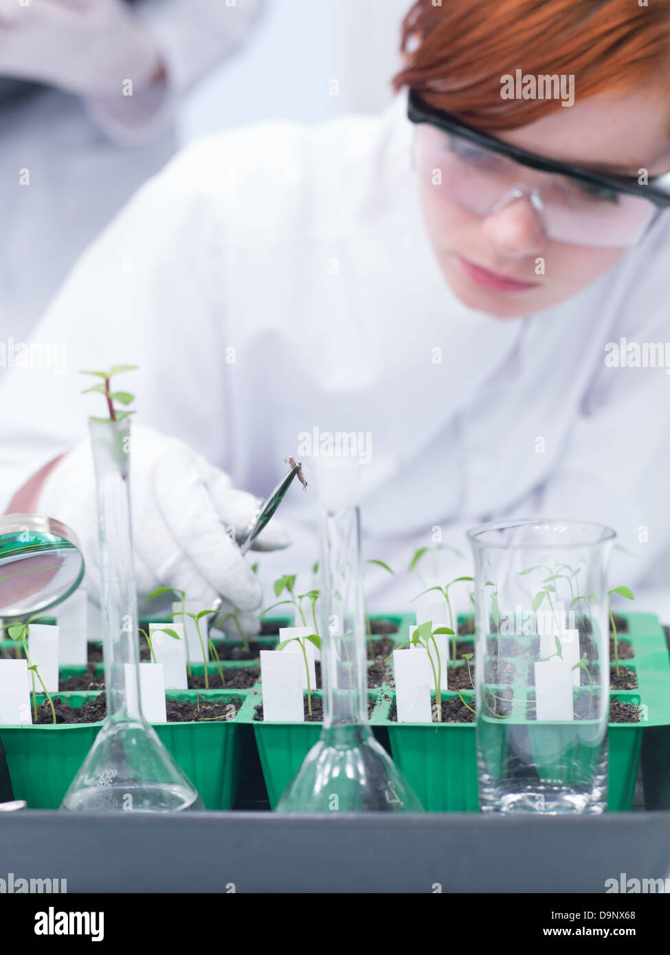 Macro d'une élève dans un laboratoire de chimie faisant des expériences sur les plantes et insectes Banque D'Images