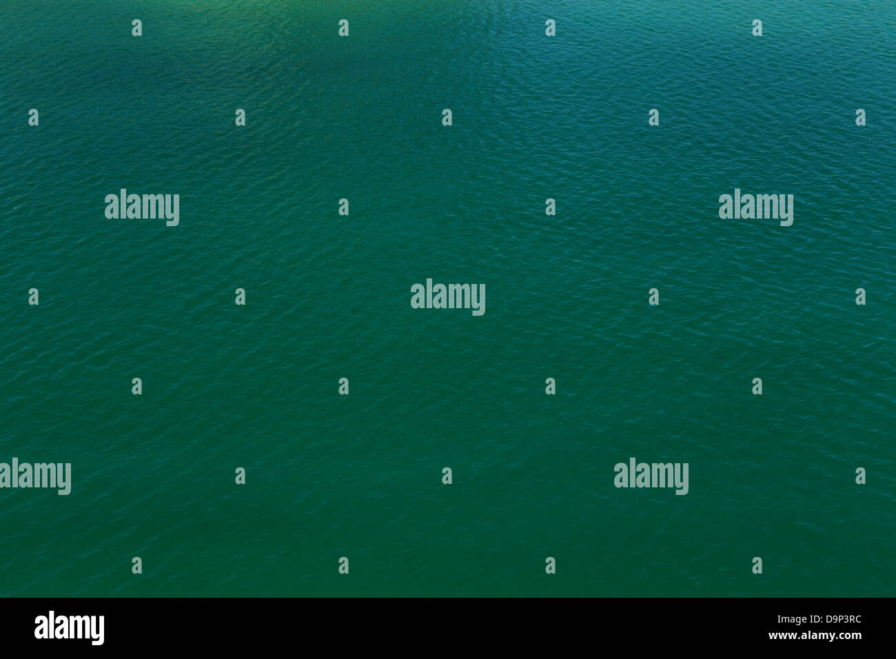 Belle marine aquatique l'eau est un site commun à l'échelle du golfe Arabe Banque D'Images